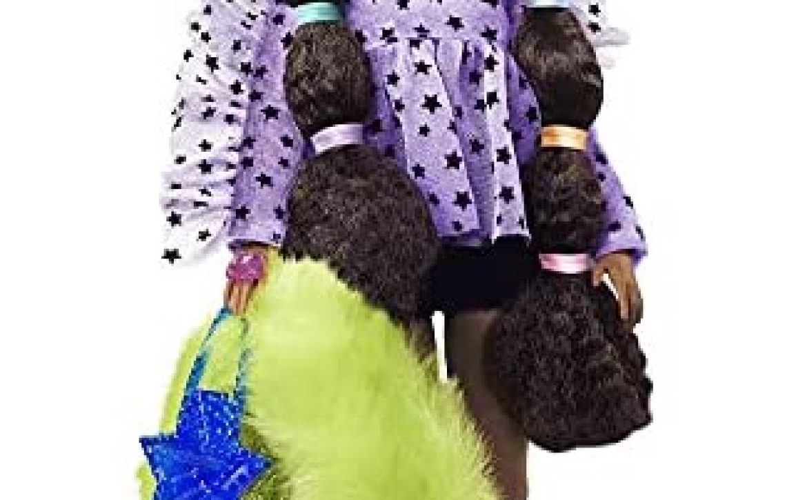Barbie Extra Muñeca afroamericana articulada con coletas burbujas, accesorios de moda y mascota (Mattel GXF10)